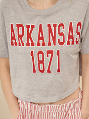 Arkansas Razorbacks College Block Puff Ink Gray Cropped Tee