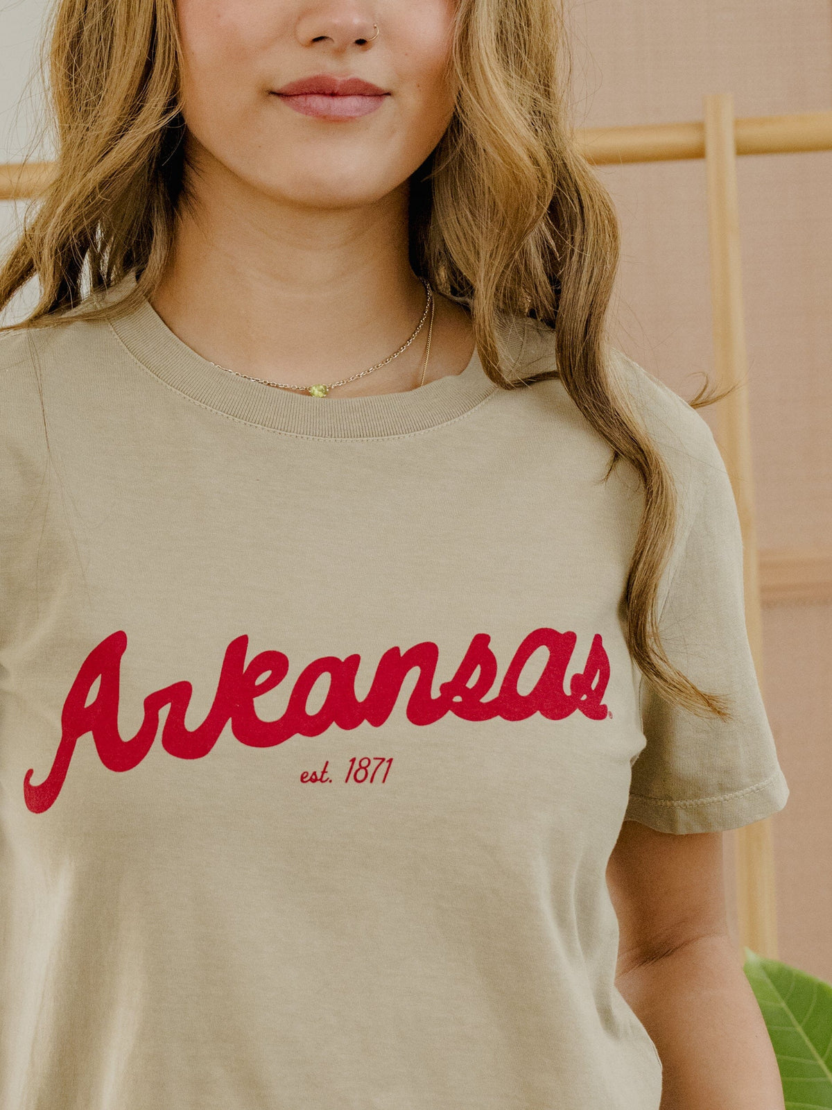 Arkansas Razorbacks Bold Script Khaki Ellie Heavyweight Tee