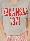 Arkansas Razorbacks College Block Puff Ink Gray Cropped Tee