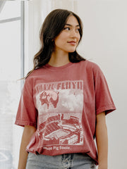 Pink Floyd Arkansas Razorbacks Animals Cardinal Tee