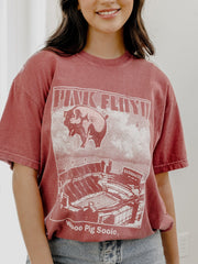 Pink Floyd Arkansas Razorbacks Animals Cardinal Tee
