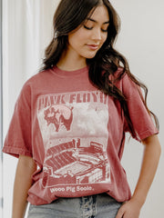 Pink Floyd Arkansas Razorbacks Animals Cardinal Tee