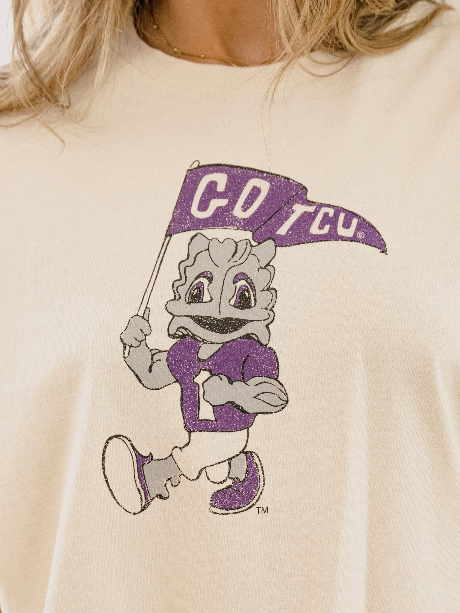 TCU Horned Frogs Mascot Flag Off White Thrifted Tee – shoplivylu