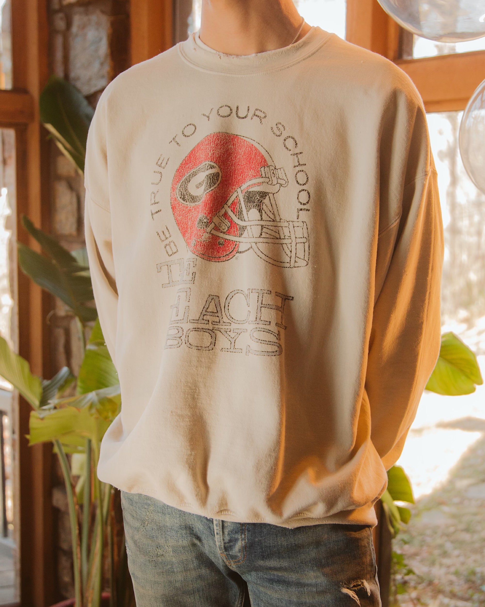 The Beach Boys UGA True To Your School Sand Thrifted Sweatshirt - shoplivylu