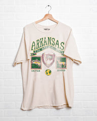 Arkansas Patch Off White Thrifted Tee - shoplivylu